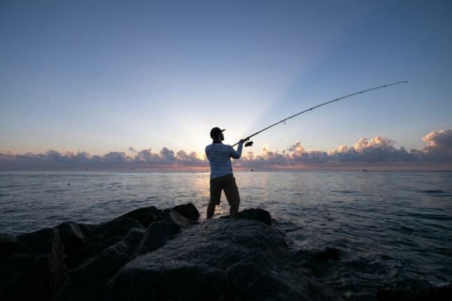 Fishing Rods for Beginners: Start Your Fishing Journey