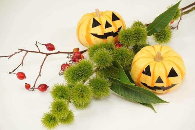 a couple of pumpkins sitting on top of a tree branch. eco-friendly halloween decorations